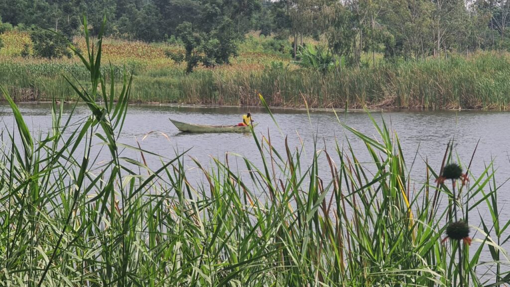 A fisherman lays his nets in the waters of Tinga Mwer