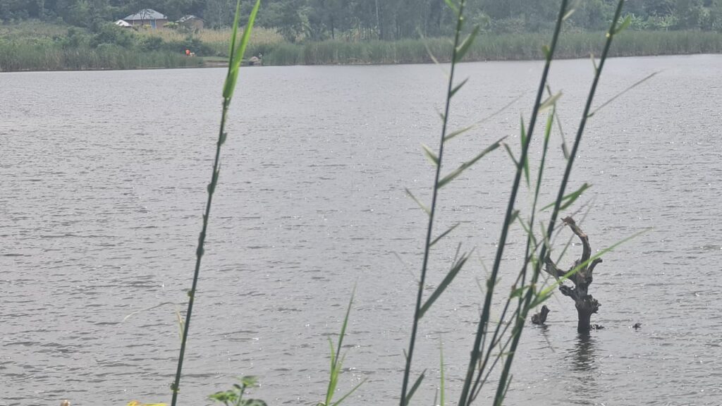 A view of Tinga Mwer